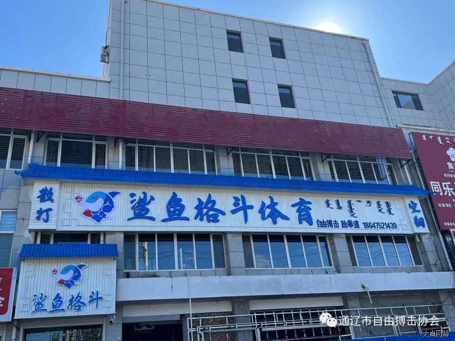 开鲁鲨鱼格斗